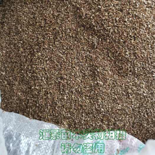 马鞍山蛇床子 中药材（纯）新货 干货 净货 净货 质优 包邮