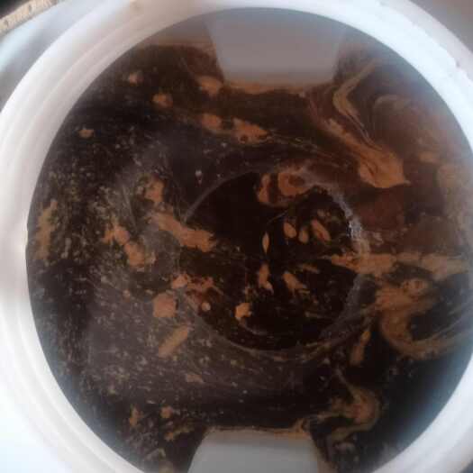 镇安县中华百花土蜂蜜