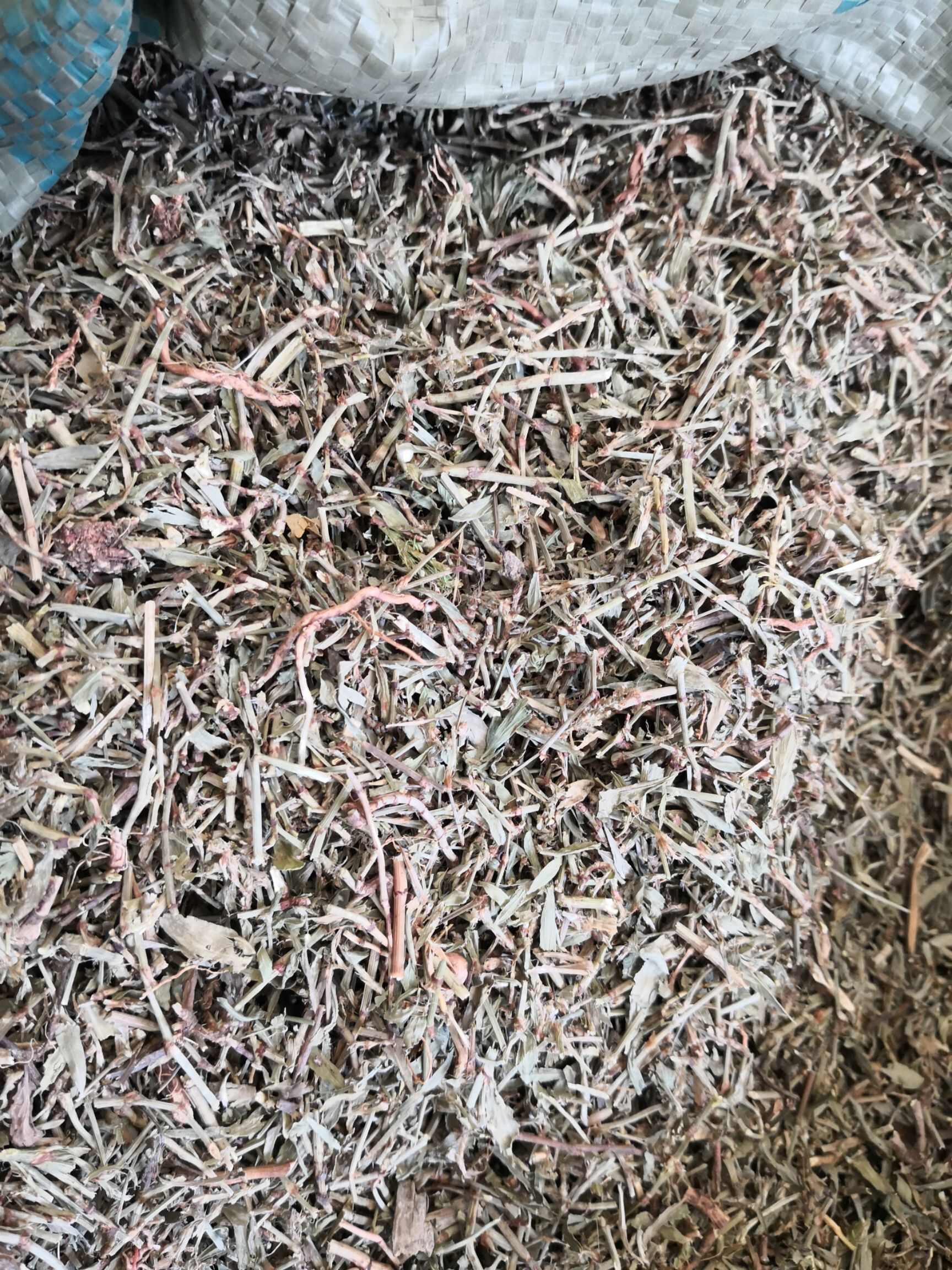 萹蓄 中药材干货 2斤包邮 量大优惠