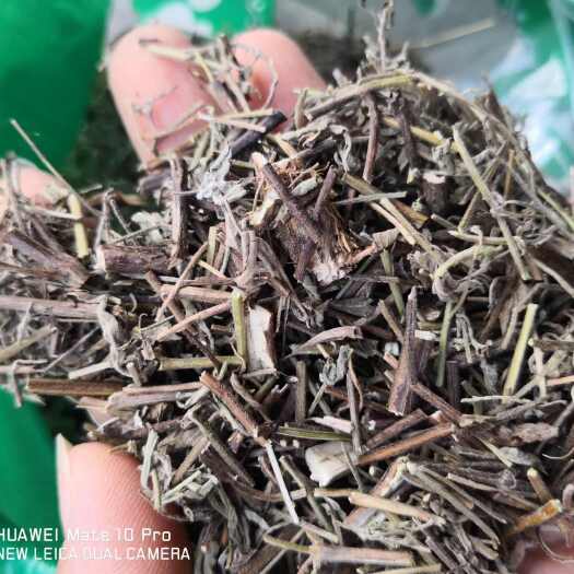 香薷 冷背中药材 干货 2斤起包邮