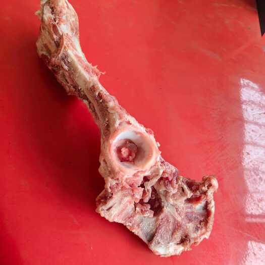 献县熬汤羊叉骨羊胯骨，散装货河北沧州新鲜羊骨 直发优质羊副产品