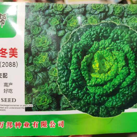 南阳万帮冬美特矮型型黄心乌