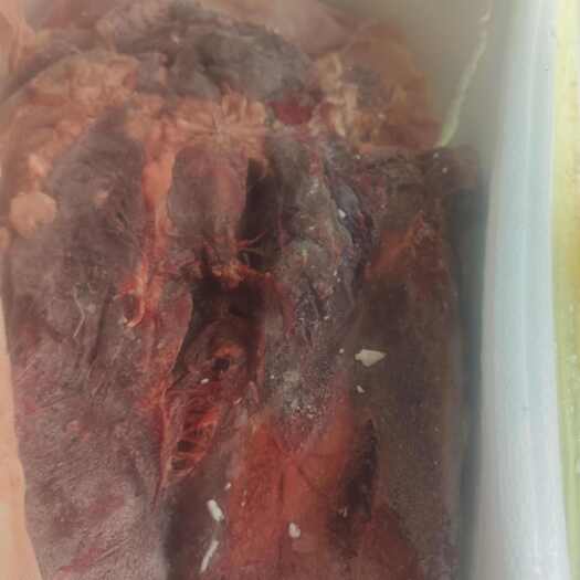 国产冰冻牛肉块