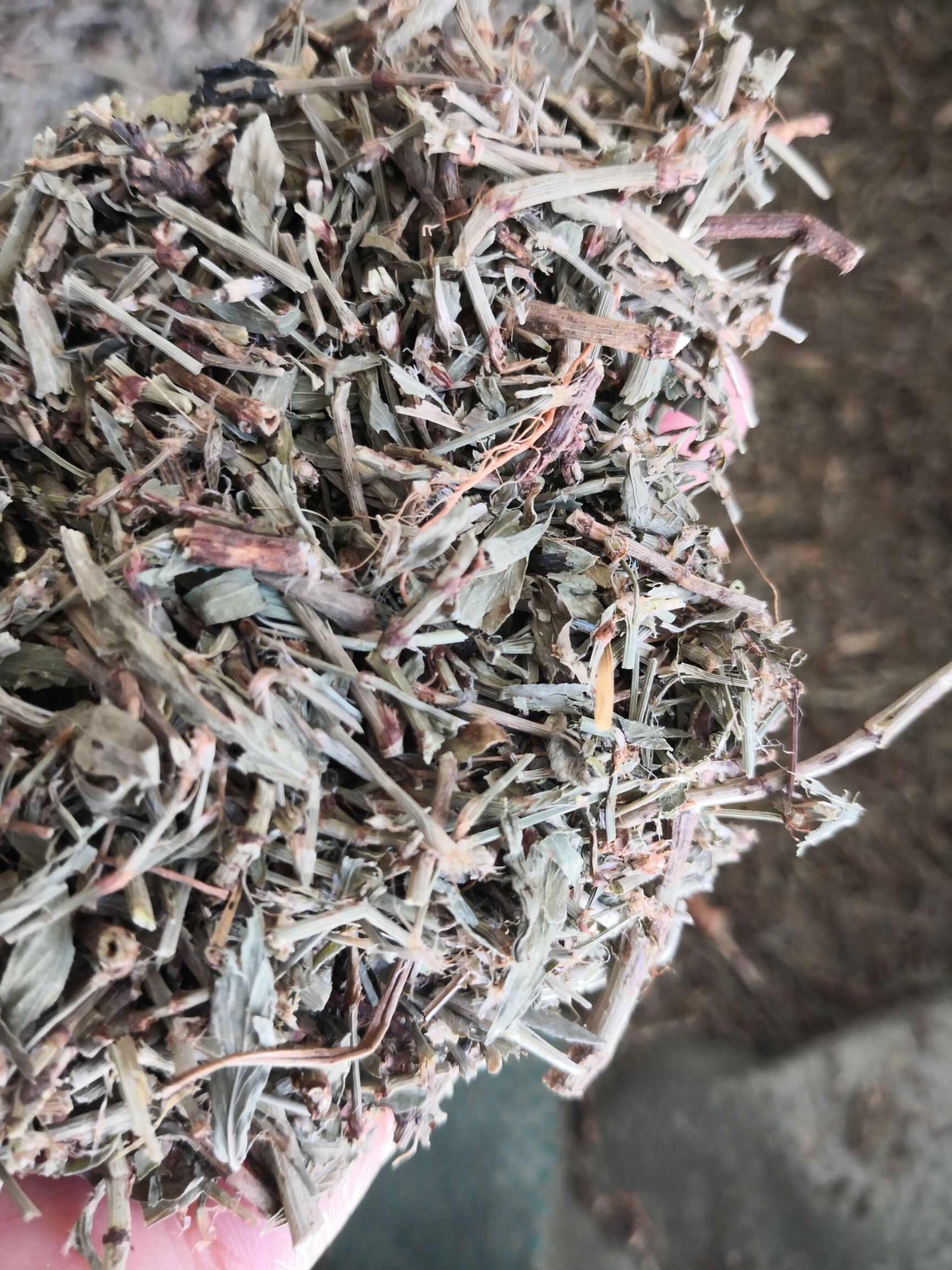 萹蓄 中药材干货 2斤包邮 量大优惠