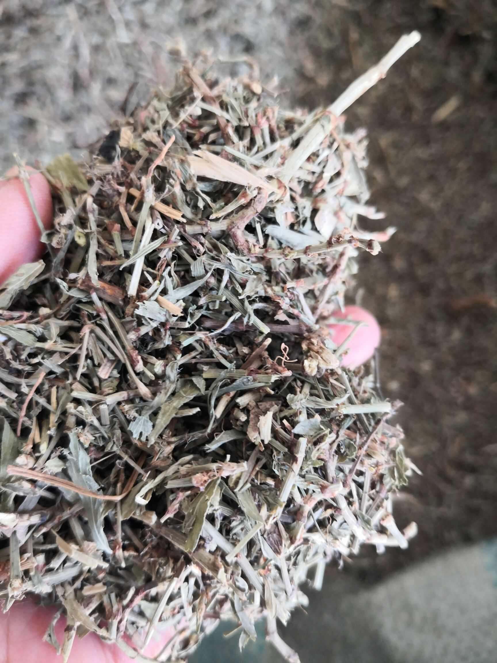 萹蓄 中药材干货 2斤包邮 量大优惠