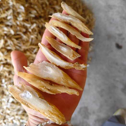 玉林精品百部
