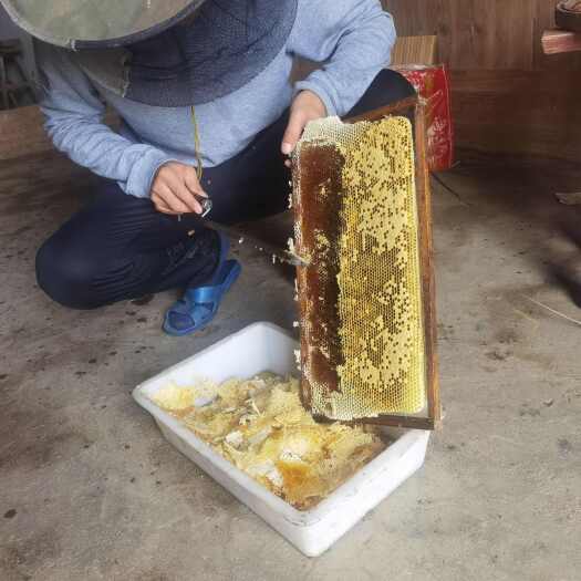浦城县福建浦城天然蜂蜜 保质期24个月以上 农副产品营养滋补品