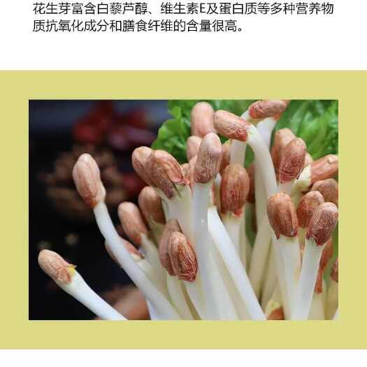 邹平市自家种植花生芽
