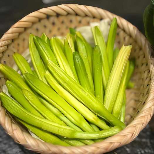 东莞市精品黄花菜，现摘现发