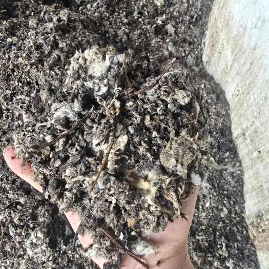 鹤山市草菇渣有机肥