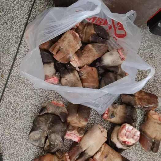湛江牛蹄掌精品