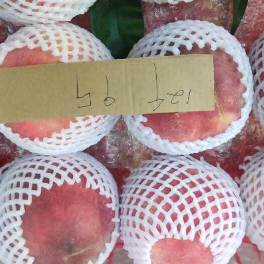 齐河县春雪水蜜桃，包甜包好吃