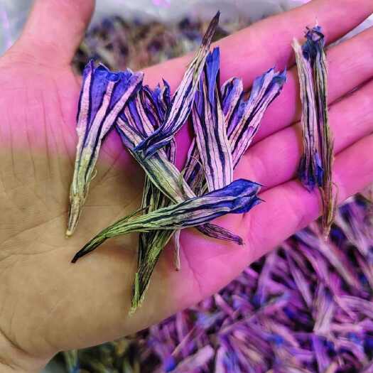 西藏野生特产龙胆花 龙胆花 玉美人 虞美人 花茶 花草茶