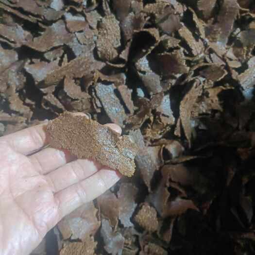 宜城市芝麻饼，块状，3000元一吨，有4吨左右