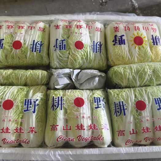 精品小绿娃娃菜，箱装