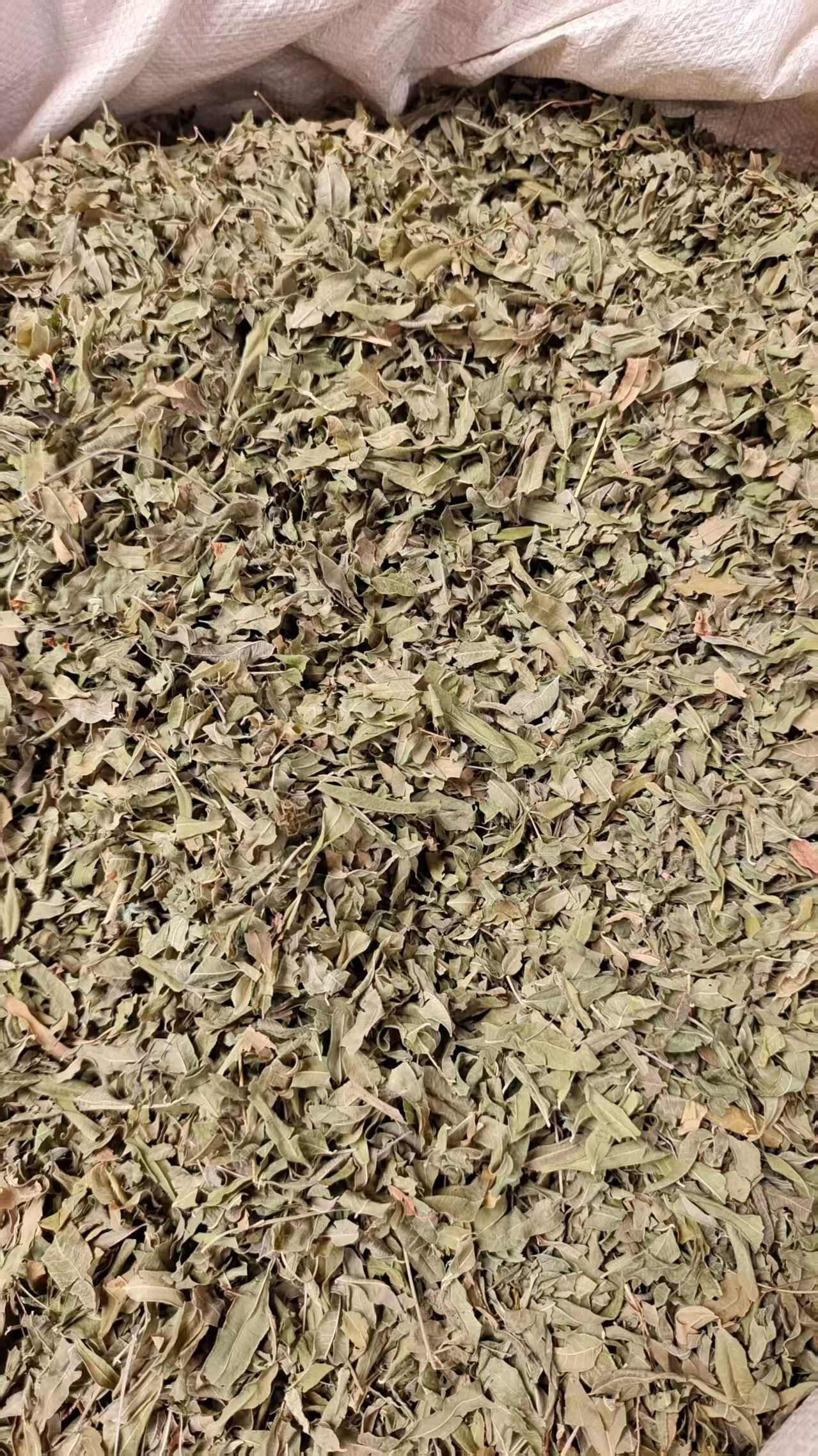 罗布麻叶 草药干货 2斤包邮 量大优惠