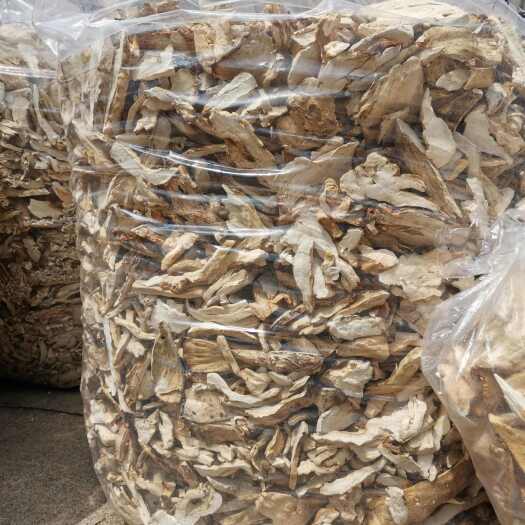 桦甸市野生硫磺菌切片干品自然晾晒批发