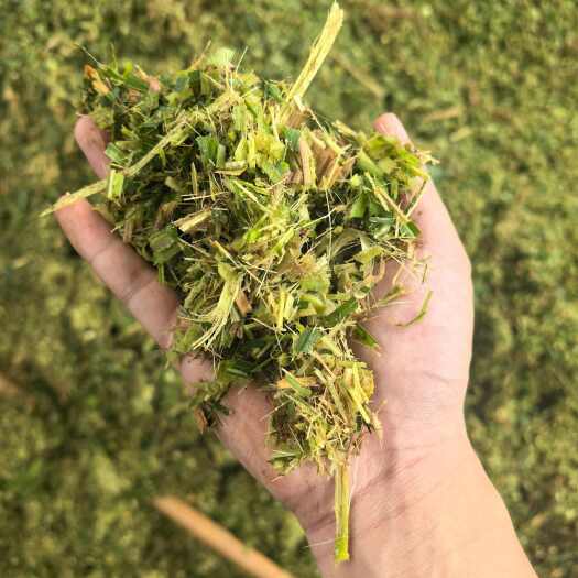 宜隆优质发酵饲草