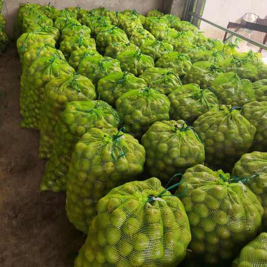 盐源县青皮核桃
