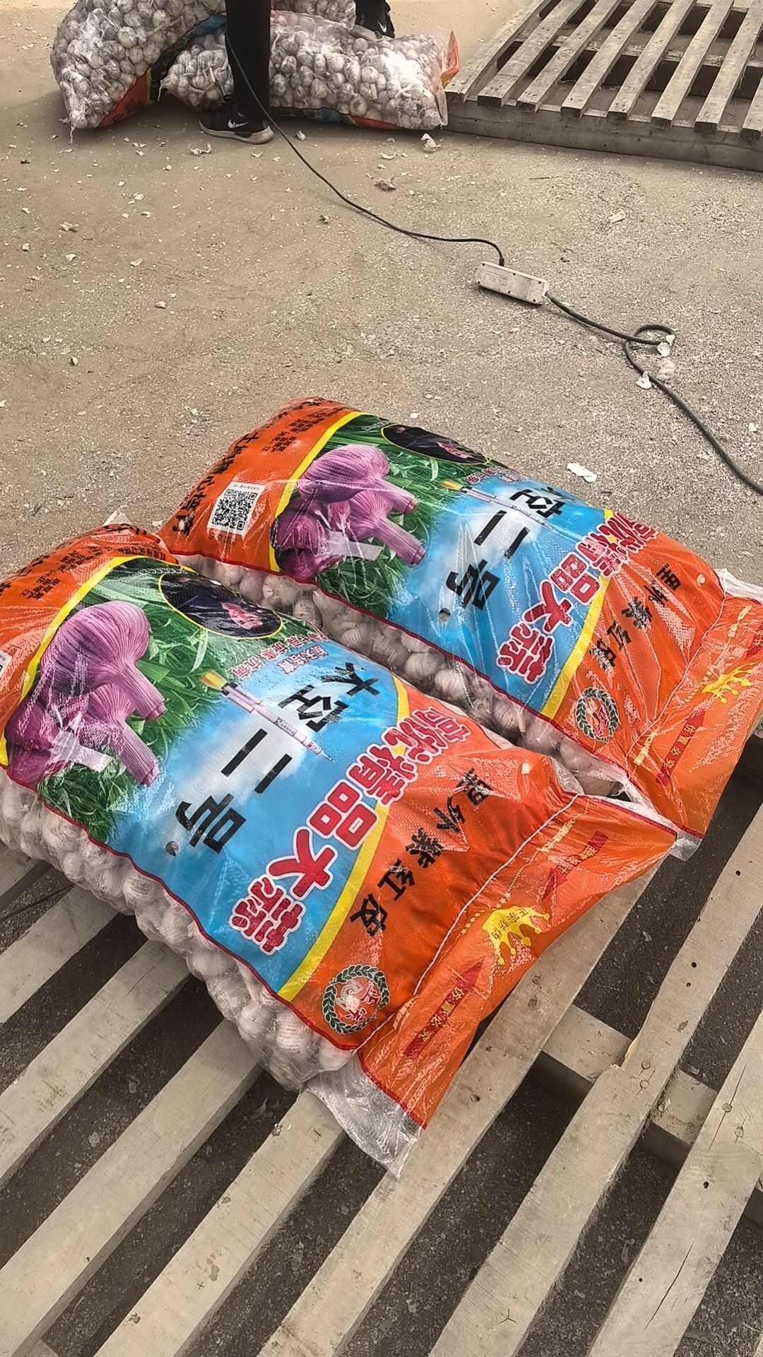 红皮蒜