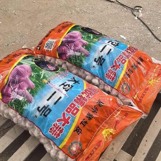 金乡县红皮蒜