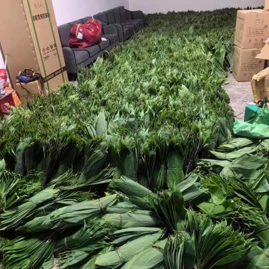咸丰县恩施粽叶