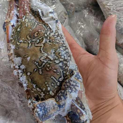 北海大花蟹
