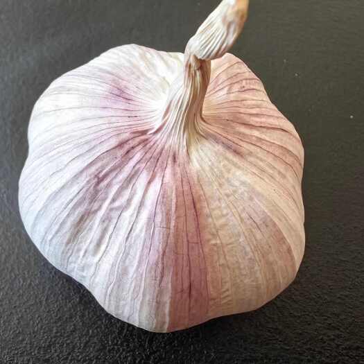 徐州5.5公分，邳州净蒜