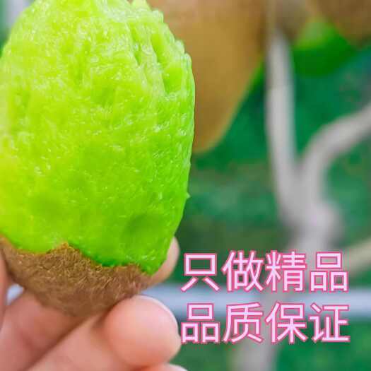凤凰县绿心米良1号猕猴桃  75克起步往上不封顶