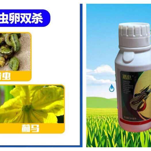 东莞市潜息高抗性青虫小菜蛾蓟马跳甲菜青虫果树蔬菜杀虫药正品农药