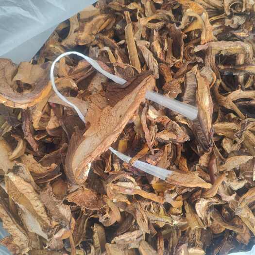 昆明牛肝菌