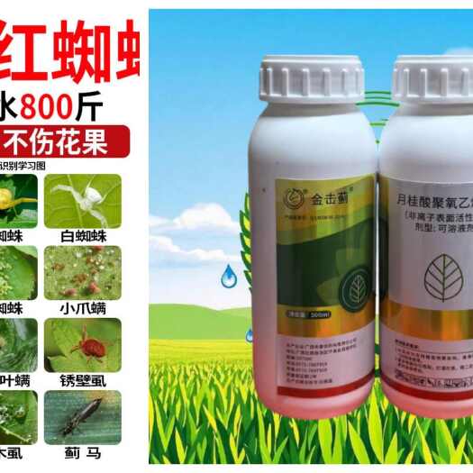 东莞市金击蓟蚜虫蓟马红蜘蛛梨木虱青虫柑橘辣椒虫卵双杀杀虫剂