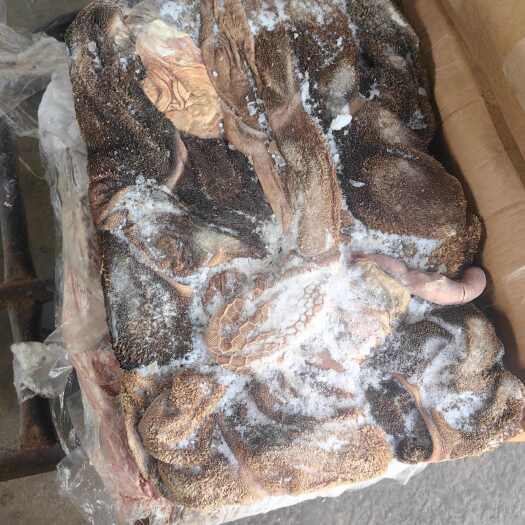免洗羊肚，5.5一斤，量大便宜，