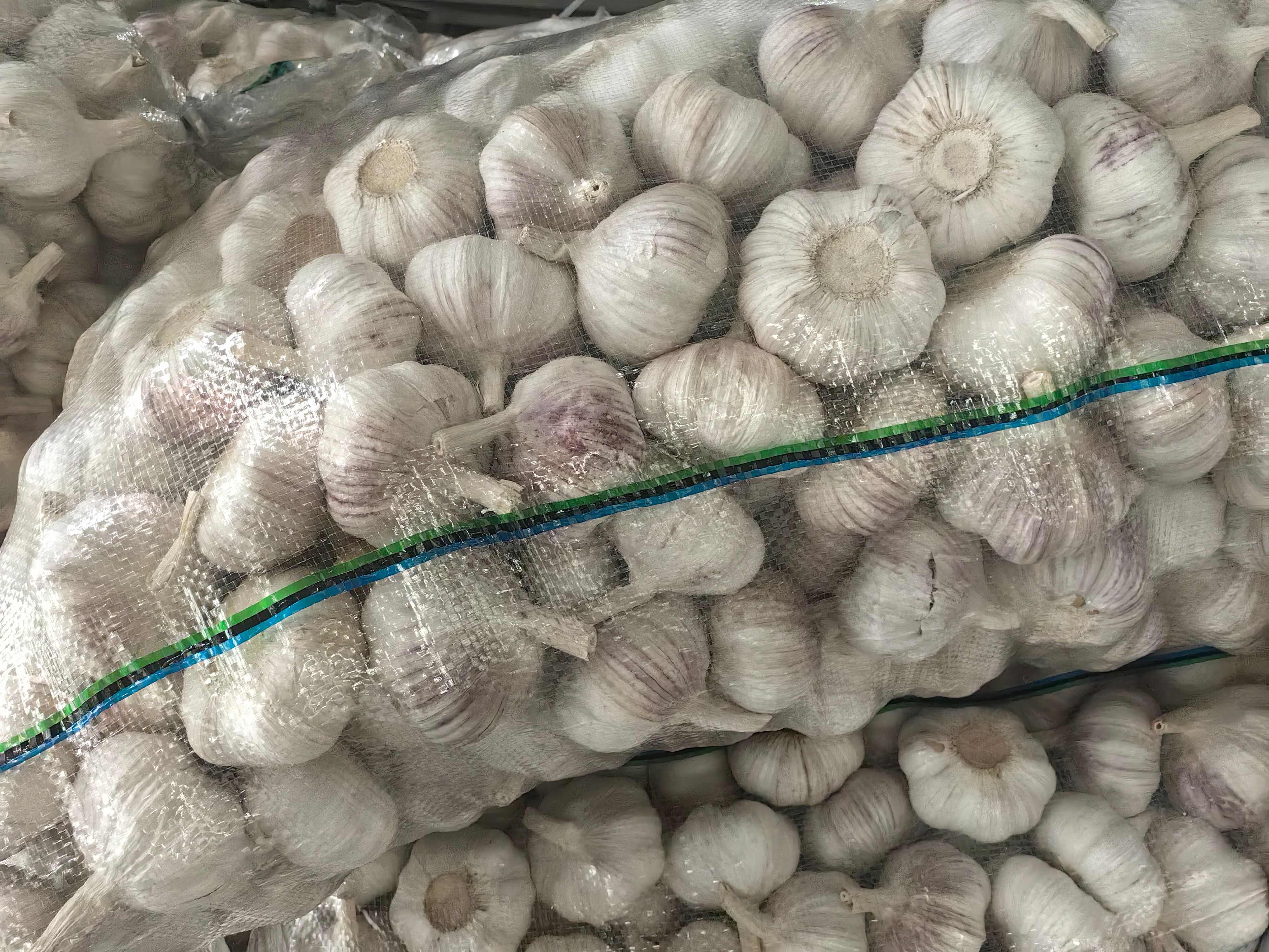 邳州紫皮净蒜/产地直发/精调细选/蒜香浓郁/5.5公分