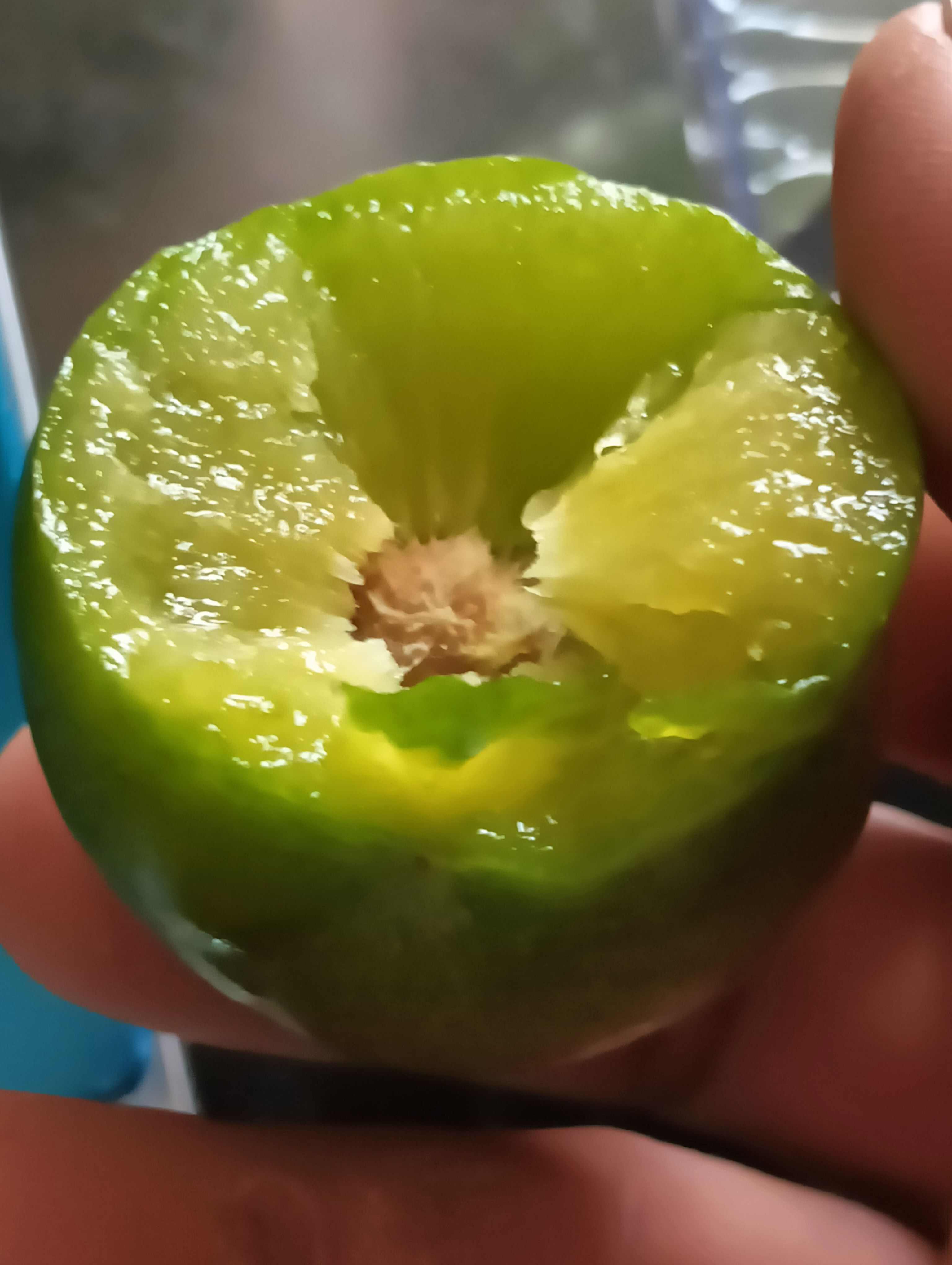 卡密脆优系李子苗，卡密斯香密李子苗优系，卡密斯升级版
