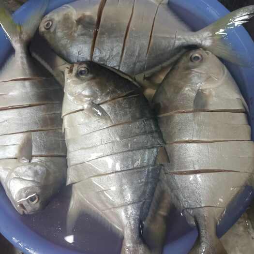 深海金鲳鱼，同菜不同味，手工制作，卫生干净，剂