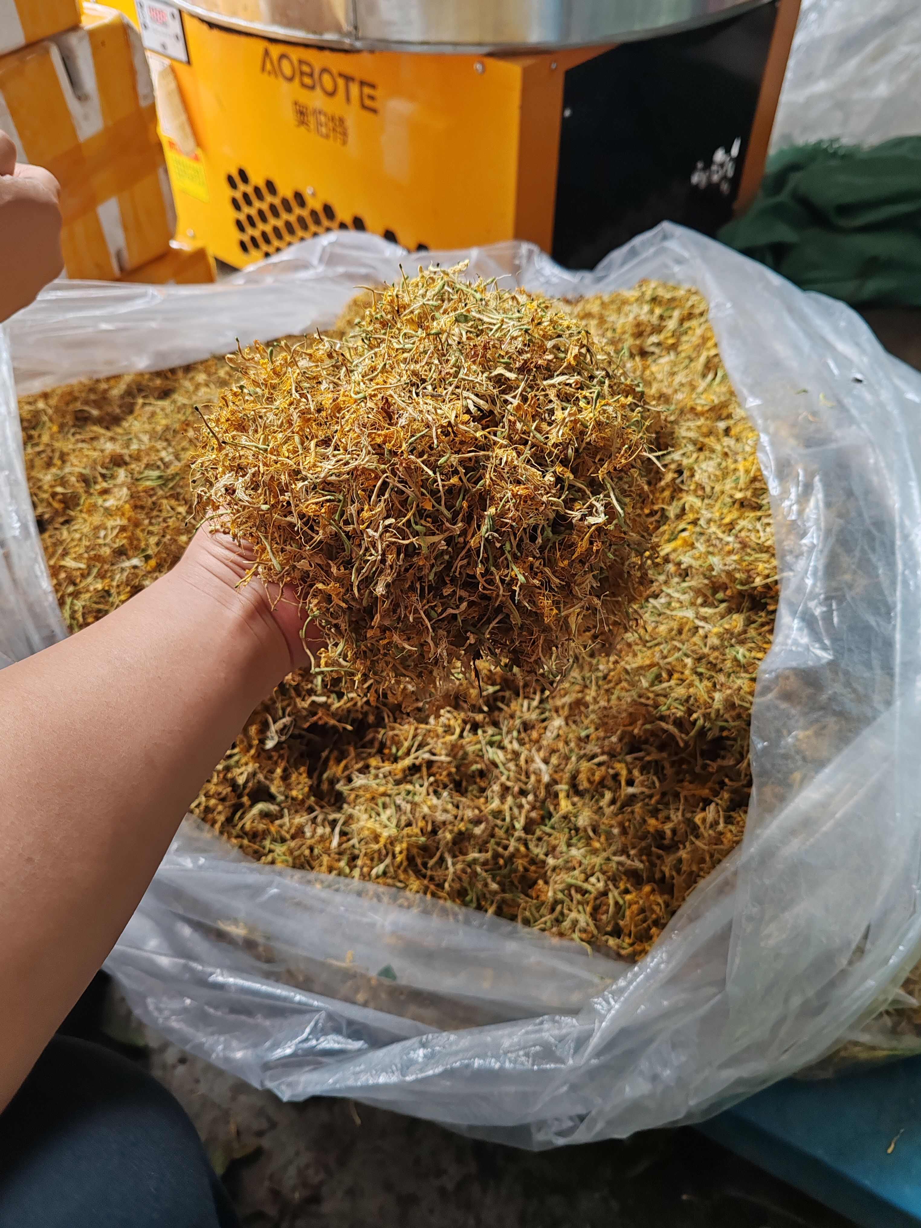 金银花纯花，颜色漂亮，花香扑鼻