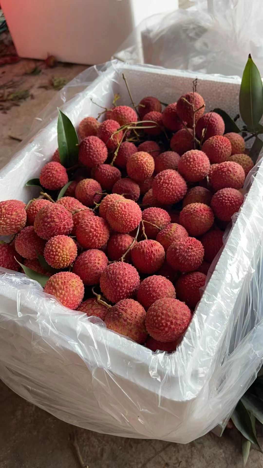 仙进奉，糯米糍，桂味正常发货，欢迎下单品尝[握手]