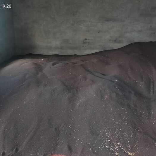 兴义市本地菜籽丶出油高3.3一3.5丶水份10以下，油香纯正。
