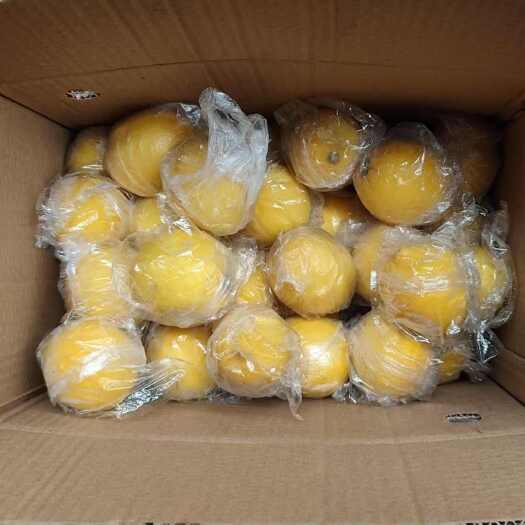 安岳县一二级半鲜柠檬果，无麻点，65g以上，才走70吨，便宜出货