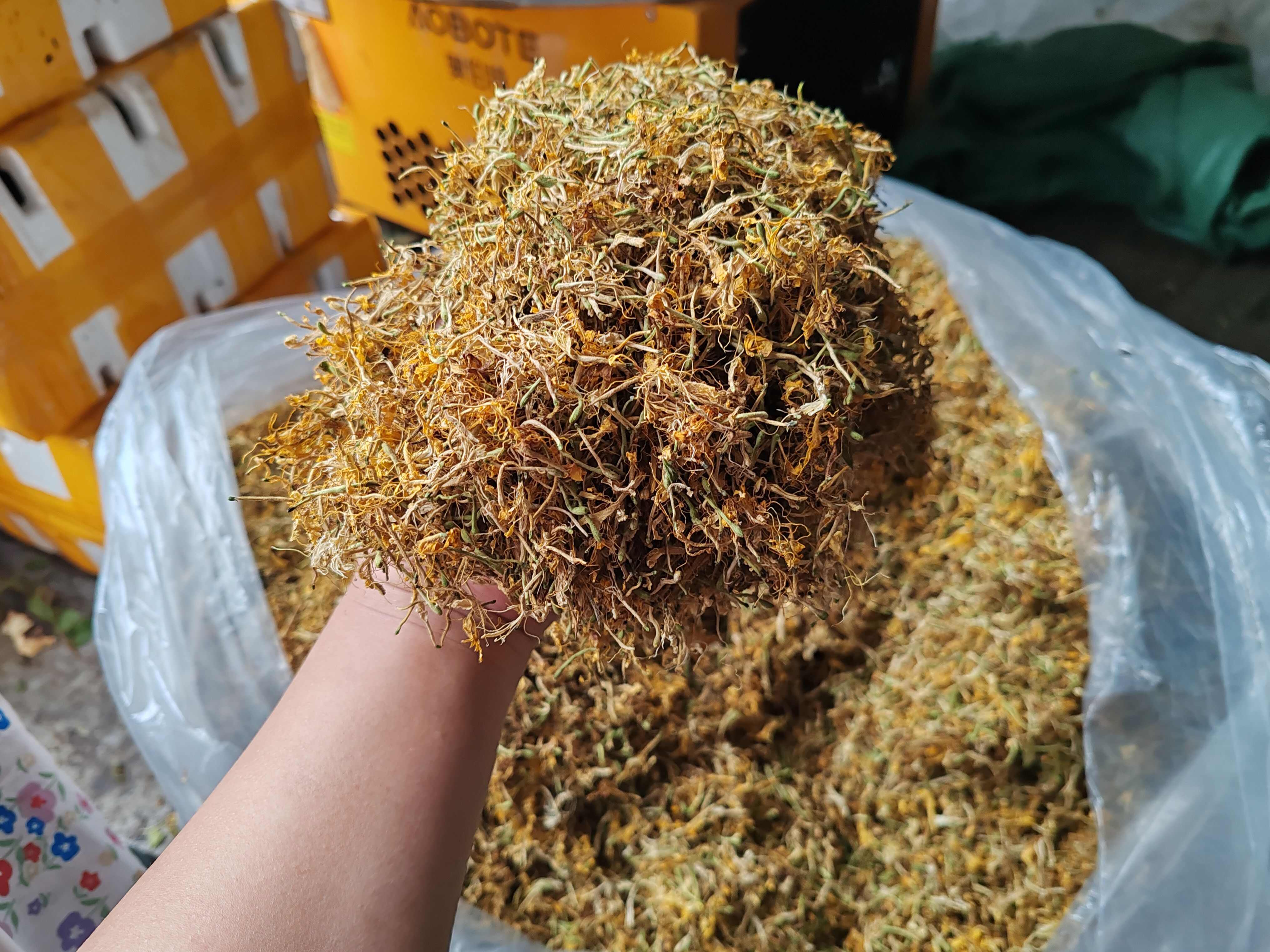 金银花纯花，颜色漂亮，花香扑鼻