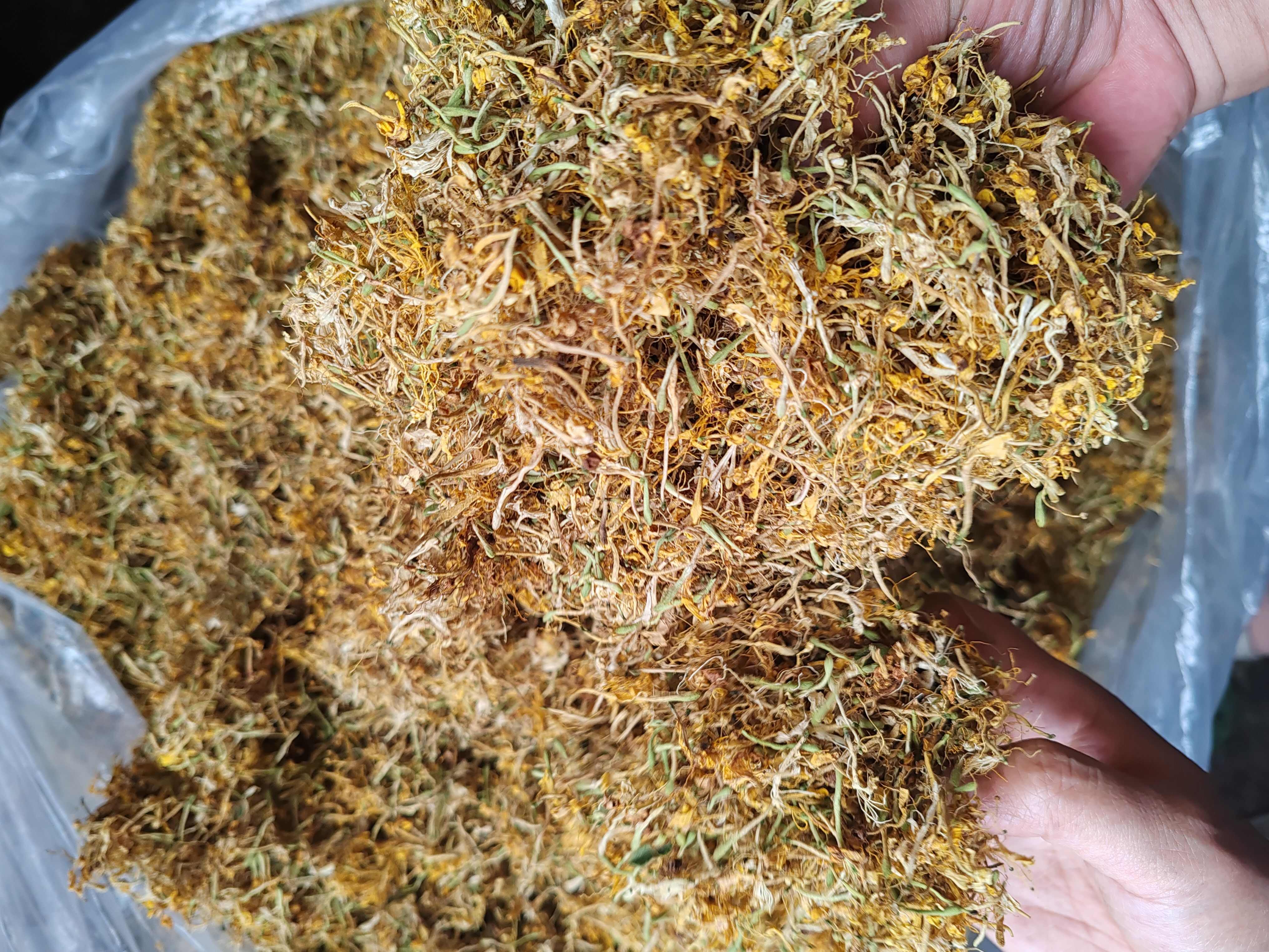 金银花纯花，颜色漂亮，花香扑鼻