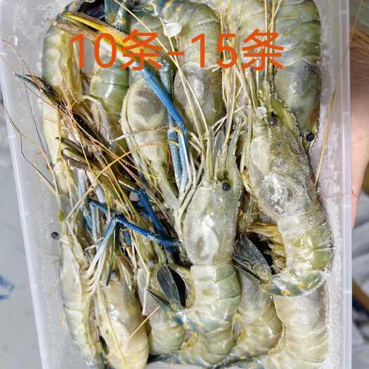 罗氏虾（10-15条）