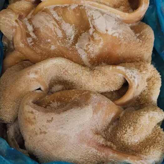 郑州纯干五香熟牛肚，十成熟，开箱即食，做牛肚汤，火锅，凉拌都可