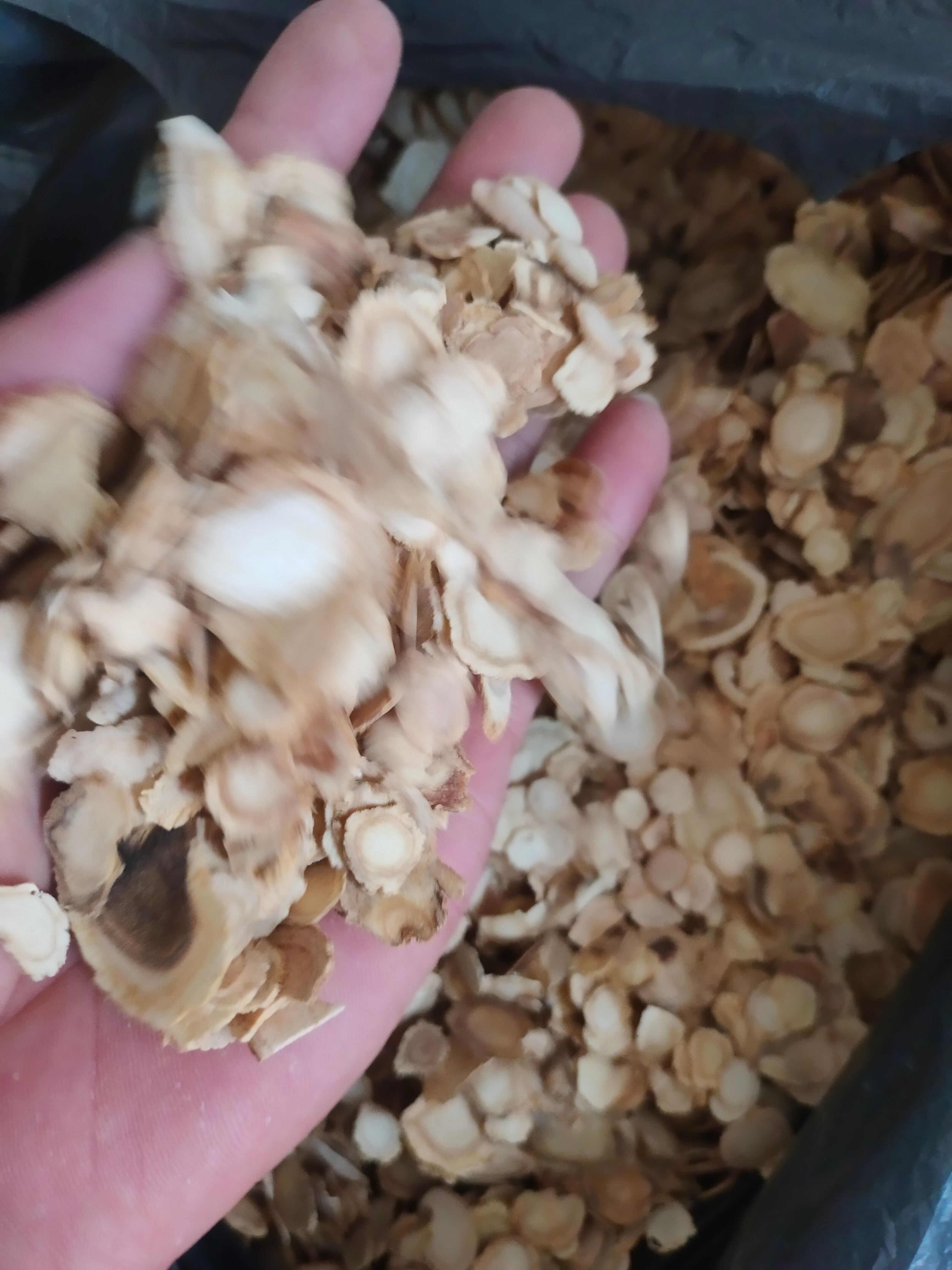 西洋参 无硫 统片 货品干