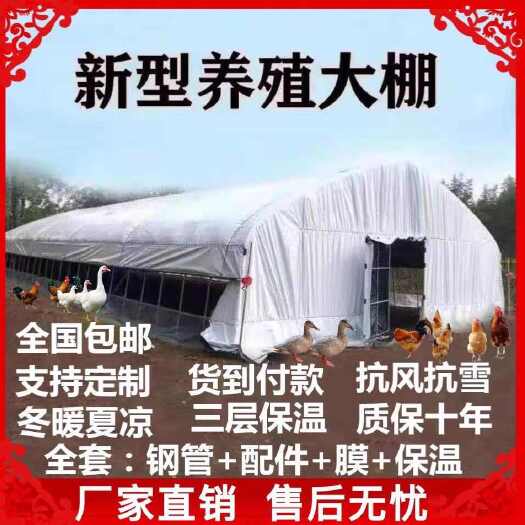 沭阳县养殖大棚全套大棚骨架家用温室种植棚专业养鸡棚羊棚牛棚养猪大棚