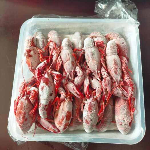南昌县各级小龙虾尾，清水小龙虾优质供应，价格按等级咨询报价