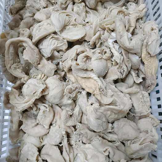阳信县羊小肚  羊百叶散袋红肠全熟羊汤优质替代品