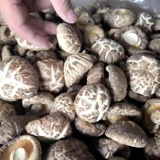香菇干货农家肉厚无根新货，果大，花菇，肉厚，整齐，干燥，无杂