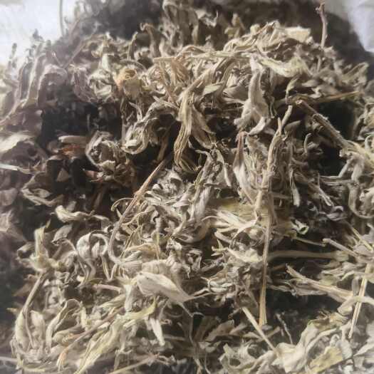 襄城县纯正小叶艾叶打造纯正产品：艾绒、20mm手工卷制纯艾条